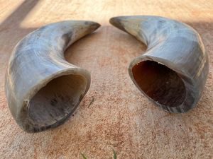 Cuerno para beber NATURAL ACABADO HECHO A MANO DE MODA Fiesta de cerveza Cuerno para beber vikingo de calidad superior para ocasión navideña - Product Image 2