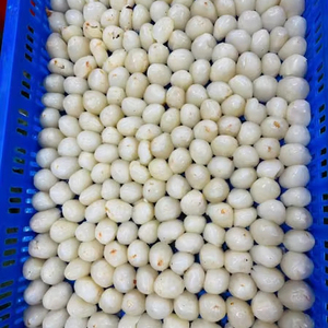 Litchi congelé IQF de qualité supérieure | Saveur tropicale naturelle - Product Image 1