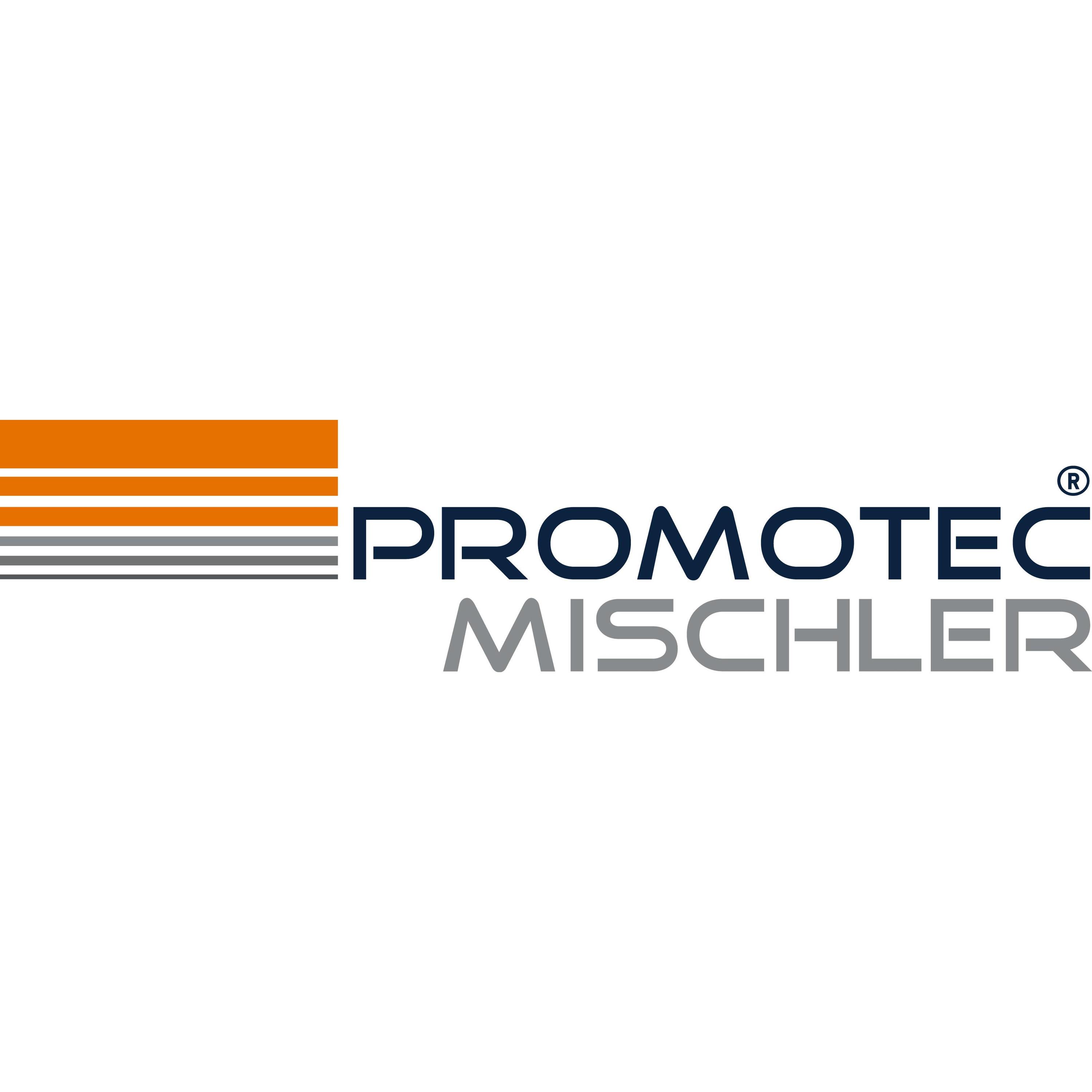 Promotec Mischler Torsysteme GmbH logo