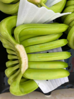 Vietnamese Cavendish Bananen – Natuurlijk zoet, stevige textuur, beste keuze voor groothandels