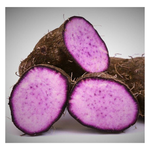 Igname violette congelée de haute qualité pour la cuisson et la cuisson, violet naturel, igname congelée de couleur blanche, igname IQF à prix bon marché - Product Image 3