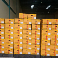 Thaise leveranciers importeurs diepvries Thaise Durian stukjes Monthong Premium kwaliteit 500g IQF export klaar zoet gouden vruchtvlees 14 dagen A4