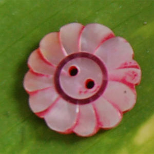 Botones de Concha Marina Tallados y Pulidos con Acabado Realista, Motivos Florales para Arte y Coleccionismo - Product Image 4