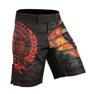 Diseño personalizado de los hombres de poliéster Spandex Jiu Jitsu Kimono tamaño suelto MMA UFC Shorts Streetwear Muay Thai Boxing Fighting Stretch - Product Image 2
