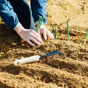 Kondo-producto de calidad, serie de productos, recubrimiento catiónico, tenedor de jardín, azada, tres puntas, cultivador de jardín - Product Image 6