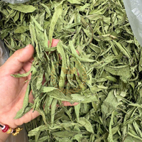 Feuilles de Stevia séchées de qualité supérieure Feuilles de bonbons Congé sucré du Vietnam pour le thé Extraits de cuisson Édulcorant alimentaire Prix de gros