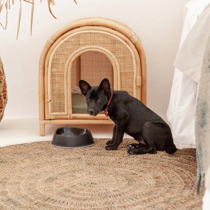 ธรรมชาติ