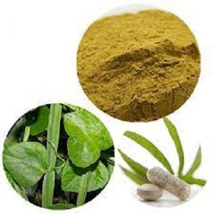 Extracto de Cissus Quadrangularis en Polvo Amarillo de Alta Calidad, Extraído con Solvente, Concentración 10:1-50:1, Grado Alimenticio, Parte de Raíz Utilizada - Product Image 2
