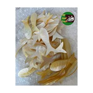 ช้อนหอยมุกสุดหรูเครื่องใช้จากเปลือกหอยทำด้วยมือจากธรรมชาติสำหรับใช้เสิร์ฟคาเวียร์และของหวาน - Product Image 4