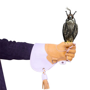 Gants de fauconnerie en cuir véritable personnalisés de haute qualité avec couleurs et logo personnalisés, marque privée, toutes tailles disponibles - Product Image 3