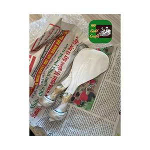 CUILLÈRE EN COQUILLE DE CONQUE BLANCHE CUILLÈRE EN MÈRE DE PERLES CUILLÈRE POLI À LA MAIN POUR CAFÉ CAVIAR ET PRÉSENTATION ÉLÉGANTE DE RESTAURANT - Product Image 2