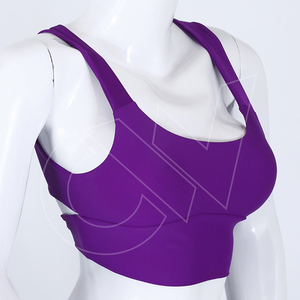 Venta al por mayor de Sujetador Deportivo con Logotipo Personalizado, Ropa Deportiva de Alto Impacto para Gimnasio, Top de Fitness y Yoga para Mujer - Product Image 5