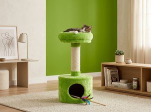 Casa de ensueño Fiona Fresh Green Oasis Cat Dreaming Cottage - Product Image 4