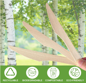 Cuchillo desechable de madera de abedul natural 100%-Cubiertos sostenibles para catering - Product Image 2
