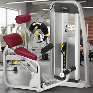 Máquina de Extensión Lumbar Eagle Remanufacturada para Entrenamiento de Fuerza en la Espalda Baja, con Carga de Placas, para Gimnasios y Salas de Entrenamiento - Product Image 2