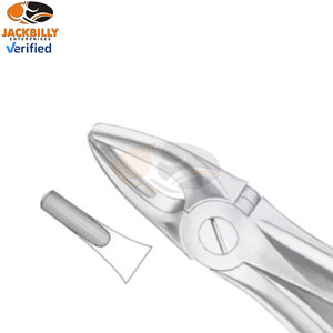 Fig. 2 Pinces à extraction de dents de différentes tailles latérales supérieures et canines Grossistes d'instruments médicaux dentaires - Product Image 5