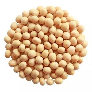 Frijoles de soja no OGM Frijoles de soja de alta calidad/Frijoles de soja a la venta - Product Image 1