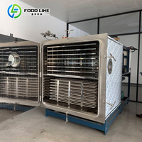 Commerciële kleine vriesdroogmachine voor snoep, fruit en voedsel - prijs
