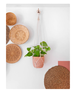 Customized Macrame Plant Hanger for <b>Wall</b> and Window Decoration - Product Image 2