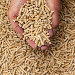 wholesale price Wood Pellets Cheap Wood Pellets/Cheap Factory Price Pine Wood Pellets/best Quality Wood Pellets 6mm-8mm - Product Image 1