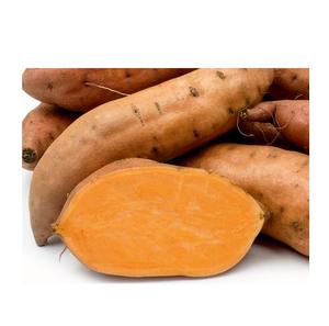"Yams asequibles a la venta, ñames frescos de alta calidad disponibles para venta al por menor, al por mayor y procesamiento de alimentos" - Product Image 6