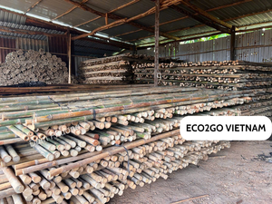 Eco2go Bâtons de bambou de haute qualité du Vietnam Support de branches polyvalent durable et durable pour les plantes de jardinage - Product Image 6