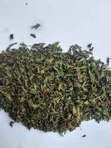 Menthe poivrée séchée, feuilles de menthe poivrée, menthe poivrée en gros, fournisseur de menthe poivrée, menthe poivrée en vrac, fournisseur de menthe poivrée séchée - Product Image 4