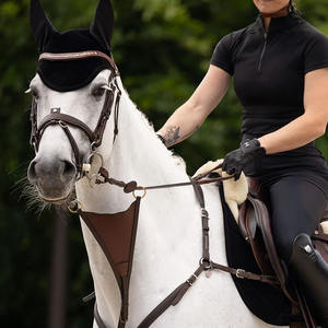 Orejeras de Malla Personalizables de Alta Calidad para Caballos, Productos Ecuestres Disponibles en Todos los Tipos y Diseños - Product Image 3