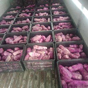 Trozos de ñame morado congelado de Vietnam, rebanadas IQF, grado de exportación, ñame dulce directo de fábrica de Vietnam, venta al por mayor OEM listo - Product Image 1