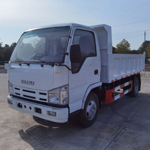 Camion benne léger d'occasion 100ch 120ch 4x2 4x4 6 tonnes, camions bennes légers Isuzu - Product Image 4