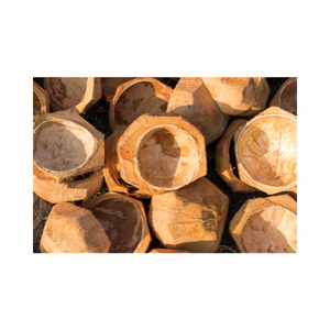 Matériaux principaux naturels pour produire la coquille de noix de coco de charbon de bois du Viet Nam - Product Image 6