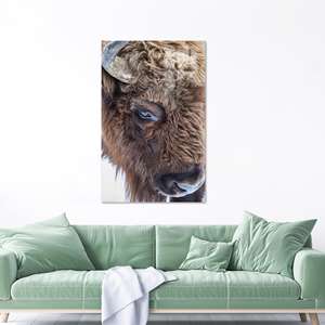 Impression sur toile Wild Bull : Décoration murale animale style bohème, Verre - Product Image 1