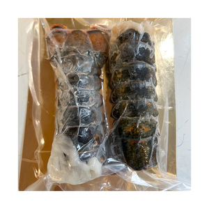 Langosta congelada a granel preparada para cadenas de suministro de restaurantes y mercados de distribución mayorista - Product Image 4