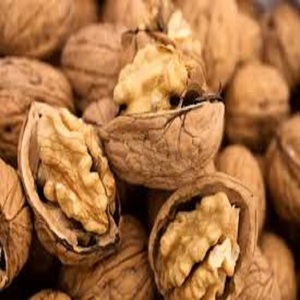 Nueces con Cáscara de Alta Calidad en Bolsas de PP de 10 kg, Nueces de Nueva Cosecha con Excelente Sabor, Frutos Secos para Distribución al por Mayor - Product Image 3