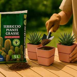 Set da giardino per piante grasse di Cactus per giardino vecchio Kit di piante succulente rosa/Denim/Curry con 3 vasi da 12x11cm - Product Image 3