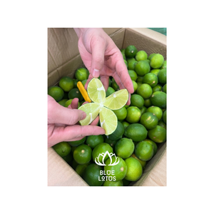 มะนาวสดไร้เมล็ดเพื่อการส่งออก: คุณภาพสูงมะนาวเหมาะสำหรับการใช้ทำอาหารทั่วโลก - Product Image 1