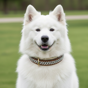 Collier pour chien en cuir véritable rembourré de luxe, confortable, imperméable, marron, avec design en chaîne cubaine ornée de strass, taille personnalisée, toutes saisons - Product Image 2