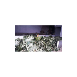 Exportation de farine de feuilles de manioc en vrac aliment de qualité alternative aux fibres protéiques transformées et sûres - Product Image 1