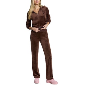 Conjunto Deportivo Casual de Terciopelo para Mujer, Diseño Sólido para Invierno, con Capucha, 2 Piezas, Transpirable - Product Image 1