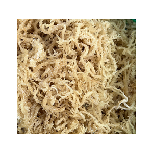 Productos de algas marinas Cottonii al por mayor-Seamoss irlandeses dorados y morados-Algas marinas Eucheuma Cottonii crudas frescas-Alimentos nutritivos - Product Image 1