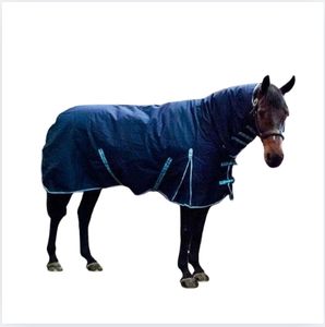 Navy Winter Horse Rug with Sky Blue Straps Cotton Filled - Product Image 1