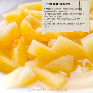 <b>Canned</b> Pineapple Ring Sweet Flavor Syrup Preserved OEM Available Origin Vietnam - Product Image 1