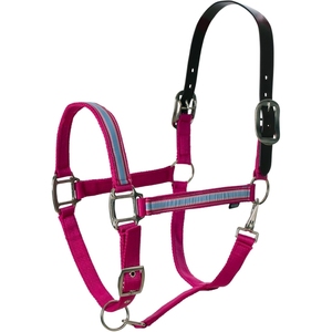 Cabestros de caballo personalizados al por mayor, Halter práctico de alta calidad para cuello de cabeza de caballo, Halter duradero de calidad 100% - Product Image 5