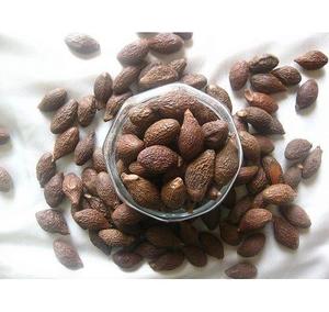 Malva <b>Nut</b> Large Size Malva <b>Nut</b> Stable Quality Choice for Buyers Looking for Reliable Sourcing and Continuous Bulk Orders - Product Image 5