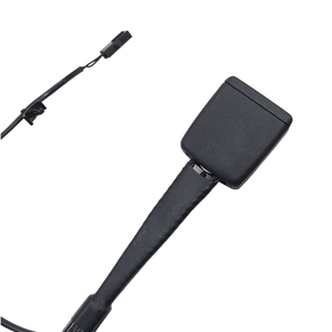 Gancho del Cinturón de Seguridad Delantero Izquierdo AUDI A3 Sportback (8YA) 8Y0857755A (19>) - Product Image 3