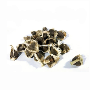 ผงสกัดใบมะรุมสมุนไพรที่ผ่านการรับรอง ผงสกัดเมล็ดมะรุม สีเขียวอ่อน - Product Image 3