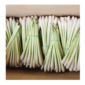 Fresh Frozen Lemongrass Sliced And Whole Frozen Lemongrass Stalks For Seasoning Frozen Lemongrass Vietnam Producer - Product Image 5