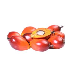 Producto nutritivo similar a la almendra de aceite de palma roja refinado de alta calidad 100% - Product Image 1