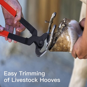 Juego de instrumentos veterinarios equinos reutilizables profesionales, Kit de herramientas de herrador de caballos con pezuña, recortadora, escofina, cuchillo, escofina Más - Product Image 4