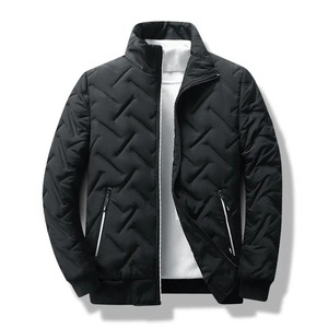 Chaqueta acolchada para hombre, chaqueta de invierno, diseño de logotipo personalizado OEM, tendencia de otoño e invierno, nuevas chaquetas con cuello levantado para hombre - Product Image 2